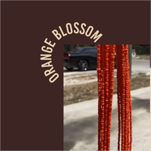Raw Bead Collection
